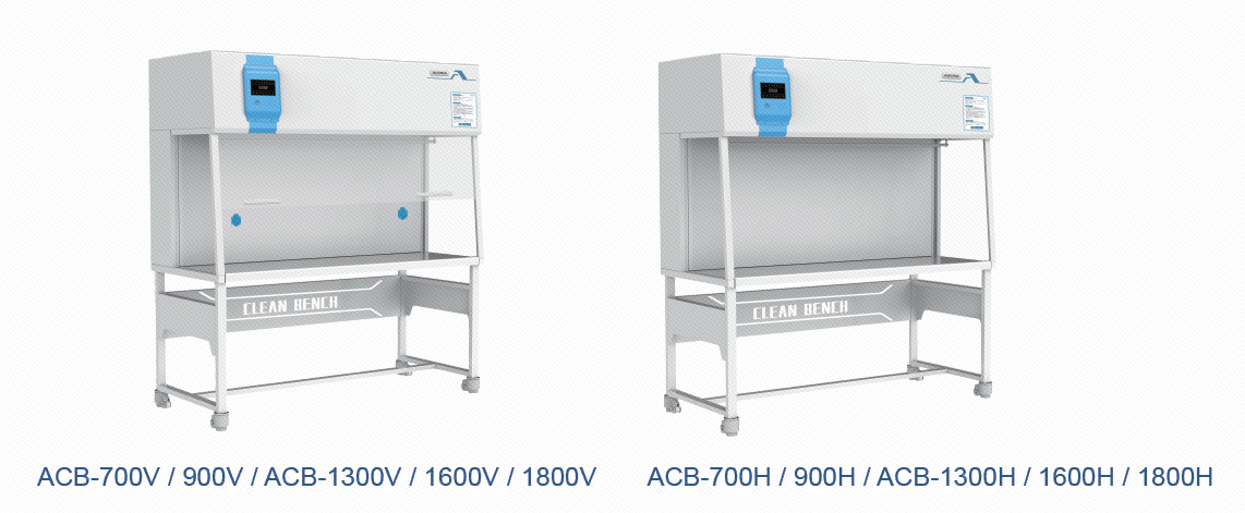 Imagen_20240812112604