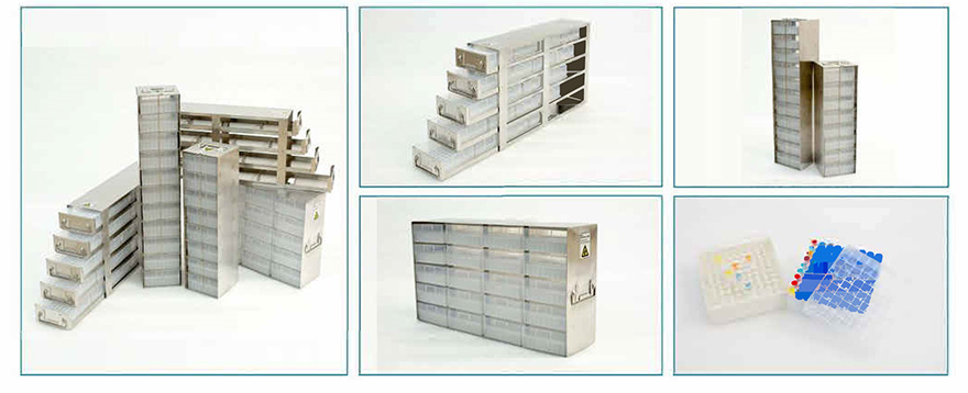 Imagen_20240403151134