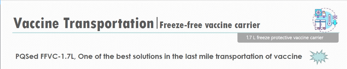 Imagen_20240809153941